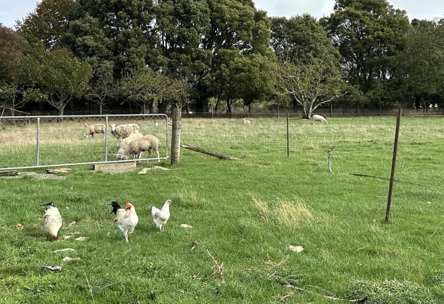 Country Retreats On Ranzau 9 Leilighet Hope Eksteriør bilde